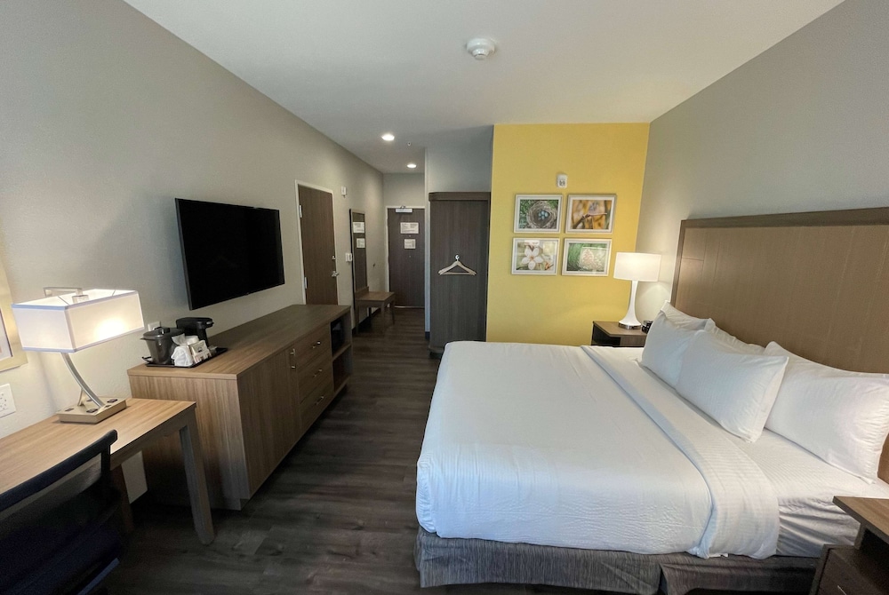 Room, King Bed, Accessible