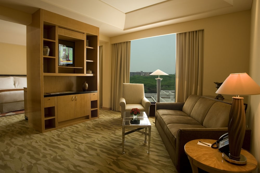 The Grand New Delhi 33/50