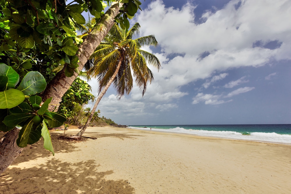 Grafton Beach Resort 22/27