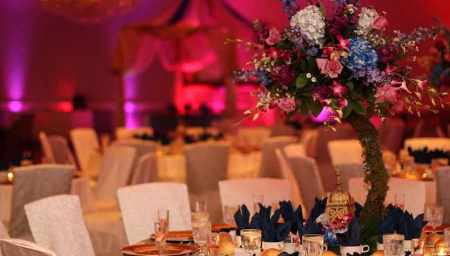 Radisson Hotel Freehold 14/17