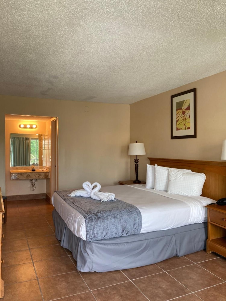 Altamonte Springs Hotel and Suites 11/40