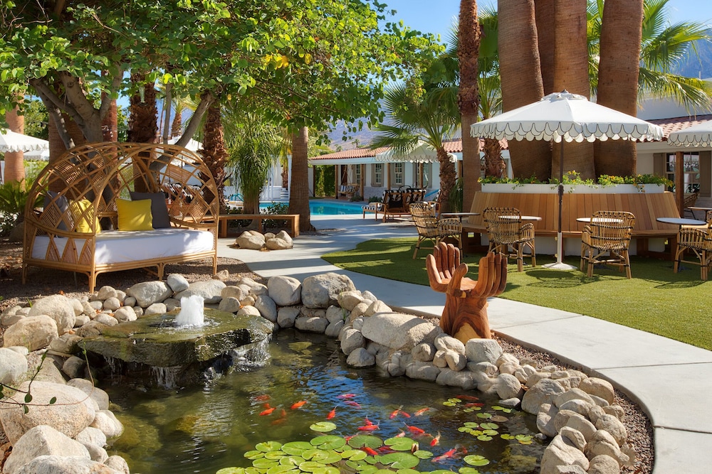 Dive Palm Springs 32/50