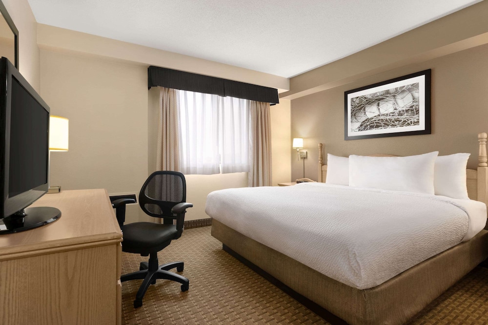 Standard, King Bed, Accessible