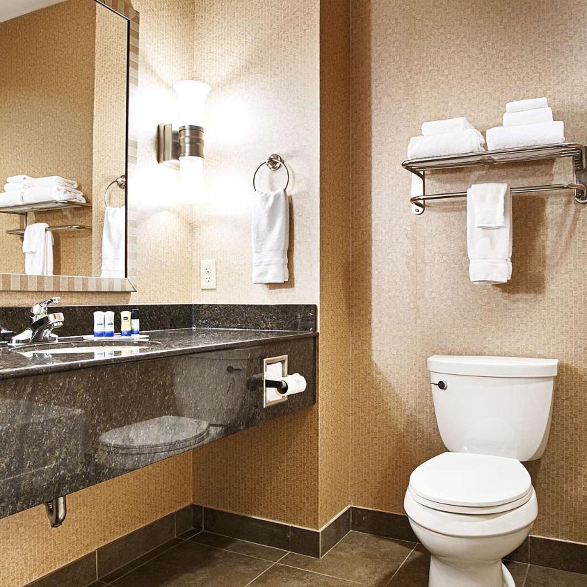 جناح بسرير كوين، Best Western Plus Texarkana Inn & Suites 3/3