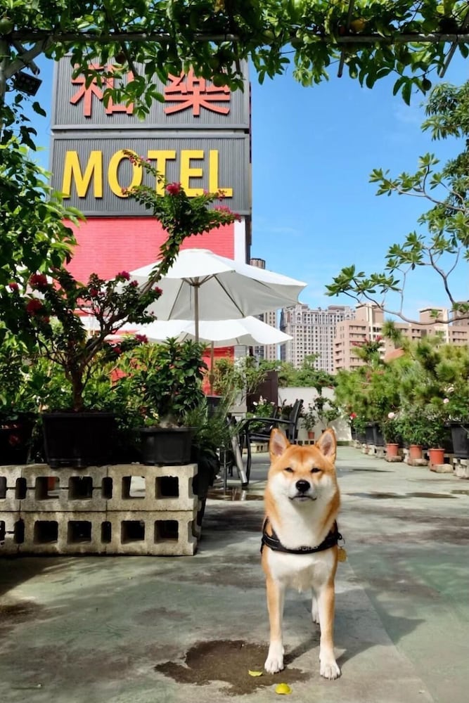 Hola Motel 7/68