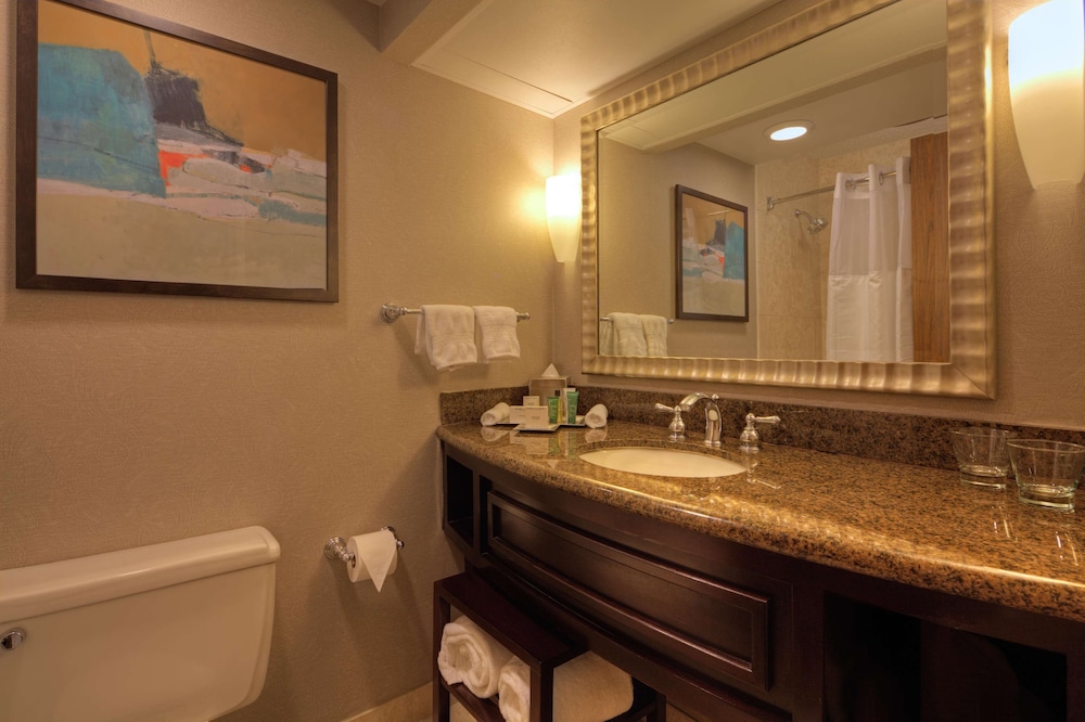 Hilton Houston Westchase 28/41