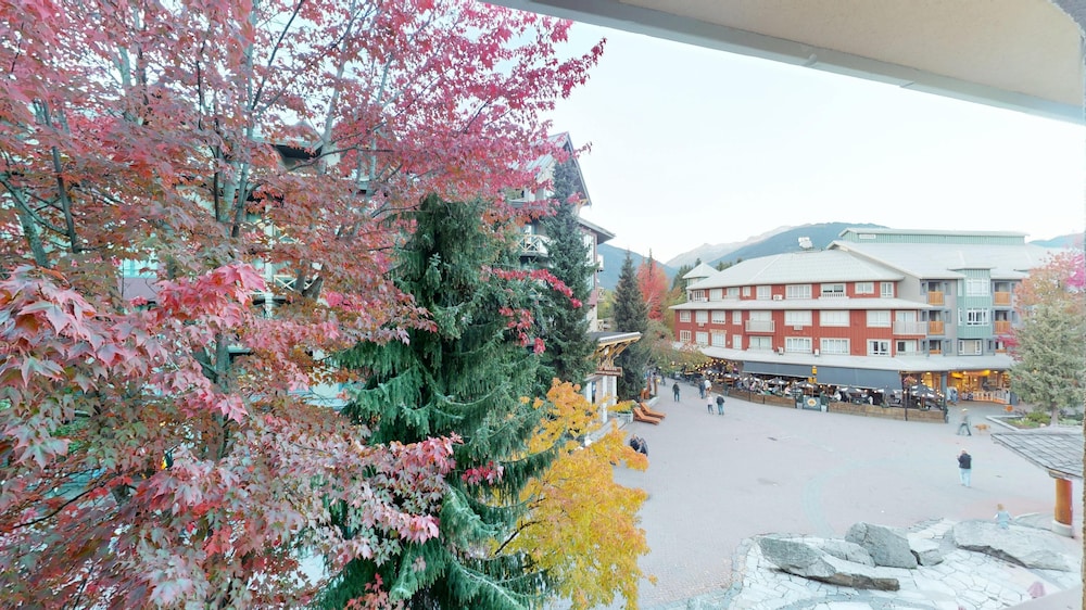 Whistler Blackcomb Vr At Town Plaza photo4