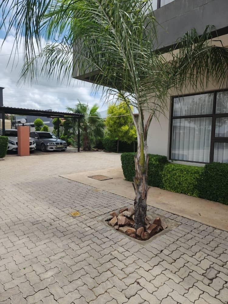 Cycad Palm Hotel 47/50