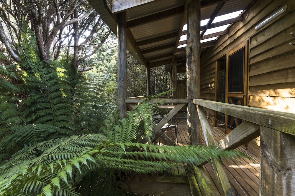 Cradle Forest Inn 22/50