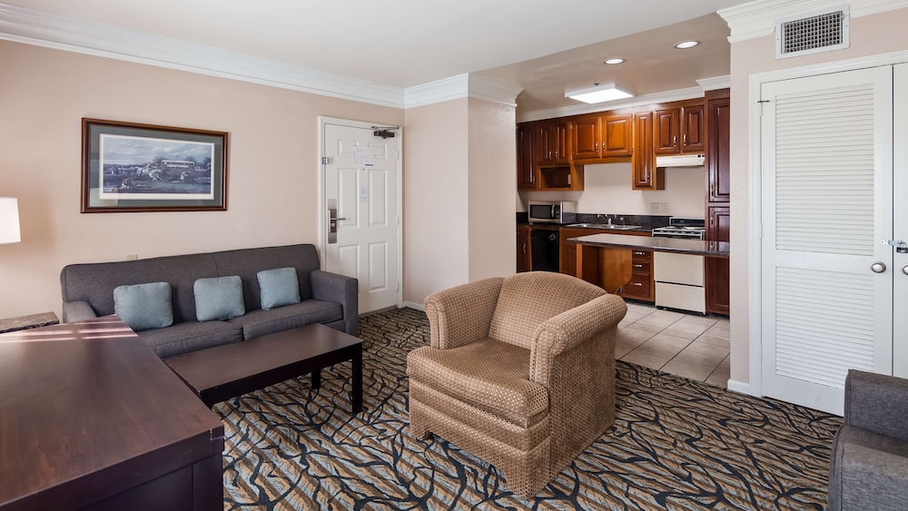 Best Western Spring Hill Inn & Suites 21/32