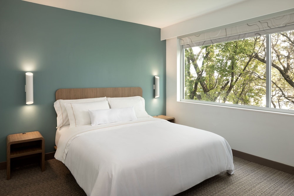 Studio, King Bed, Sofa, Accessible