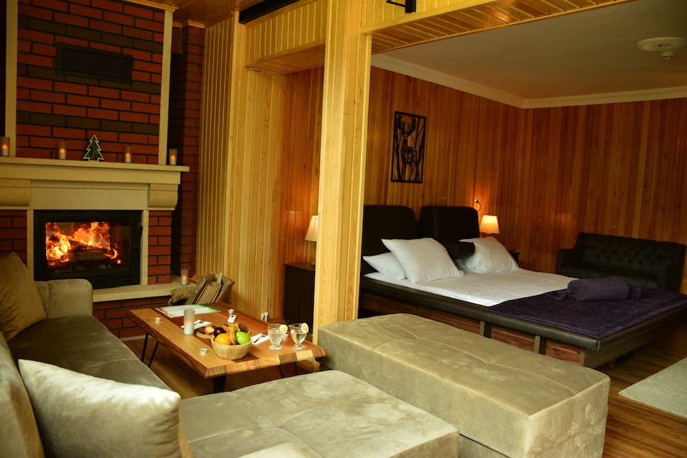 Villa De Pelit Hotel 14/50