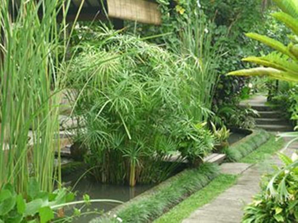 Bliss Ubud Spa Resort 56/71