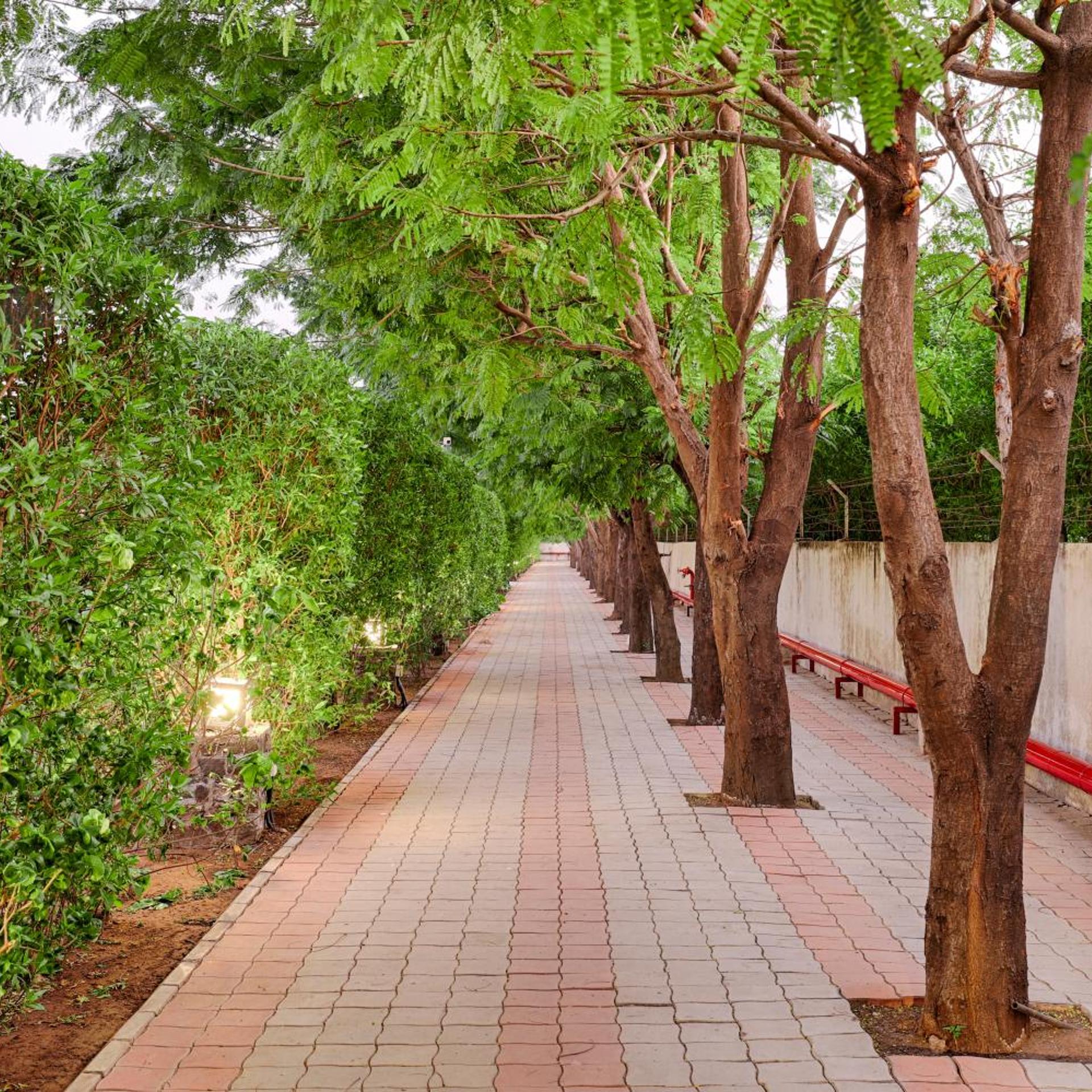 Club Mahindra Pavagadh 38/45