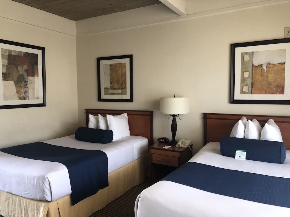 Mikado Hotel 16/40