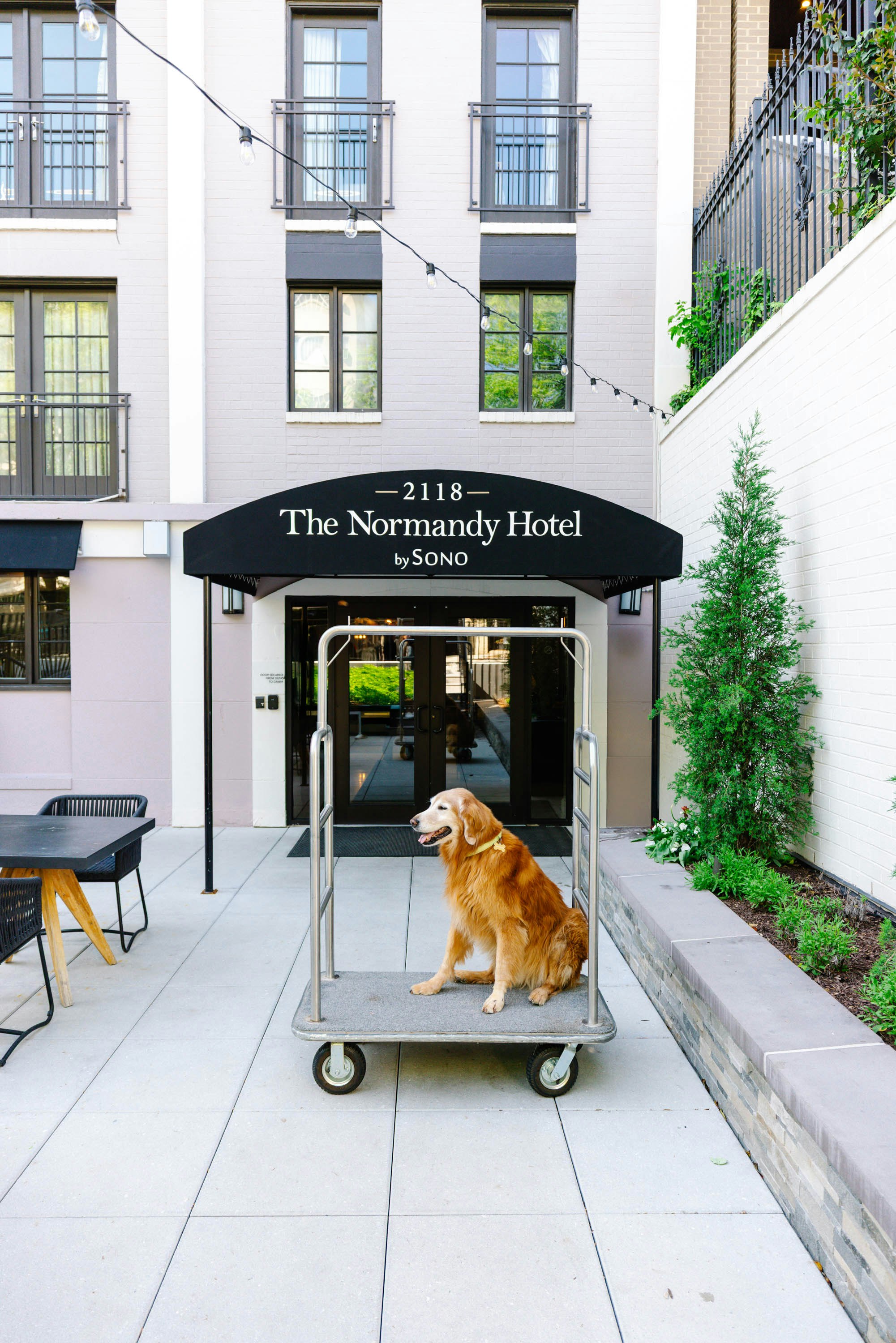Normandy Hotel 66/69