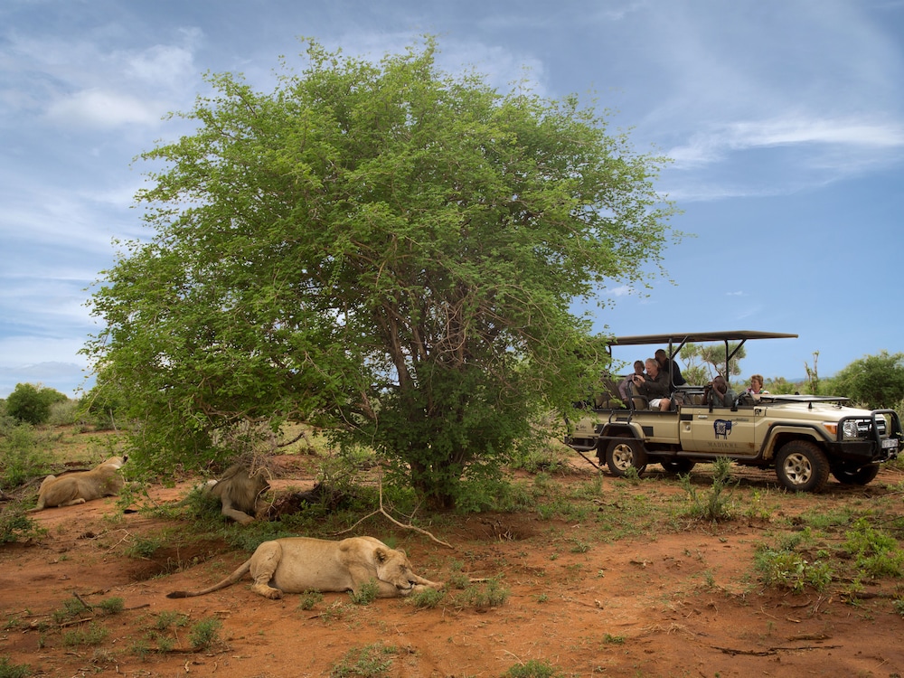 MADIKWE RIVER LODGE 33/42
