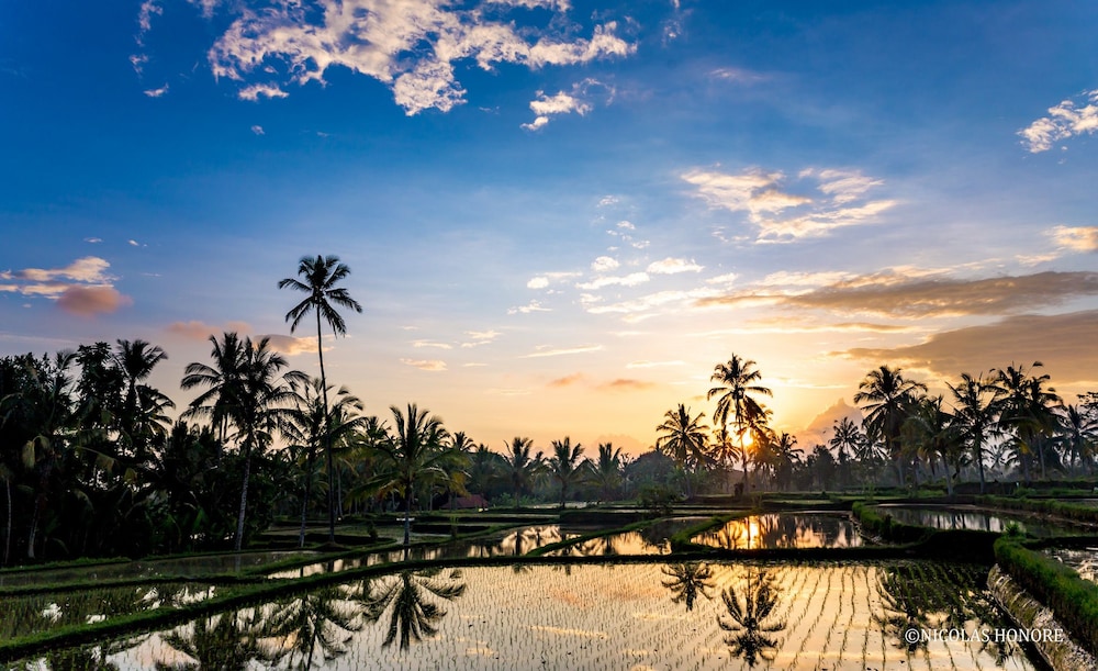 Hati Padi Cottages 45/51