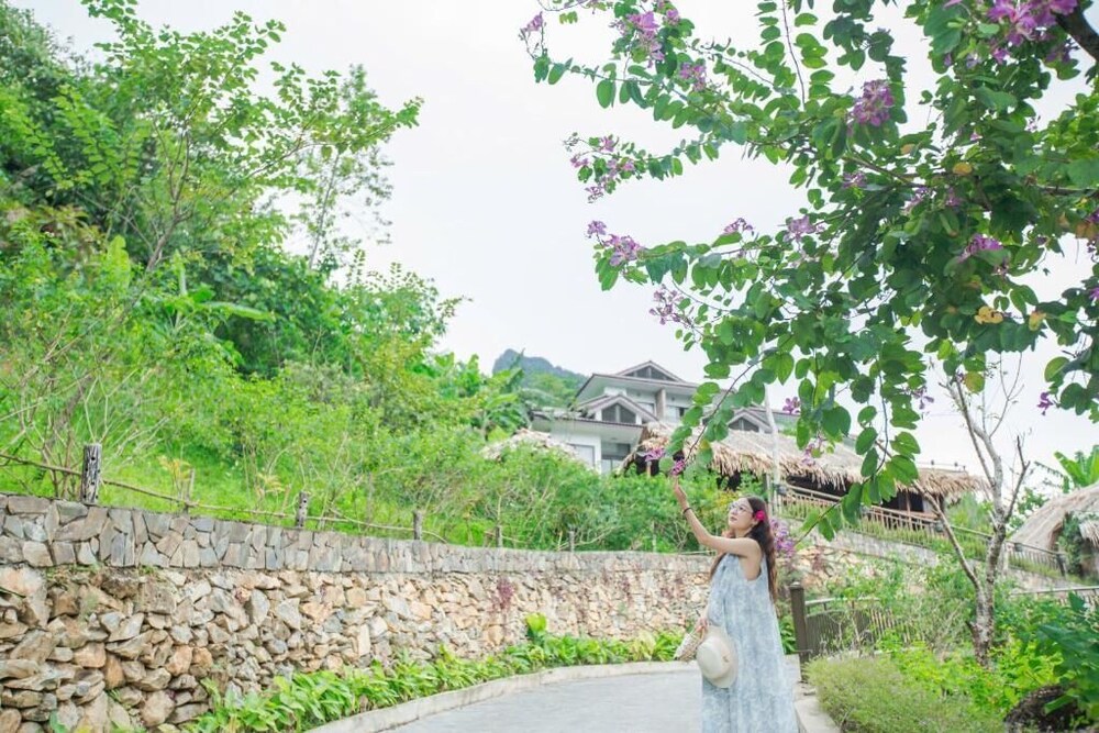 Central Hills Pu Luong Resort 35/50