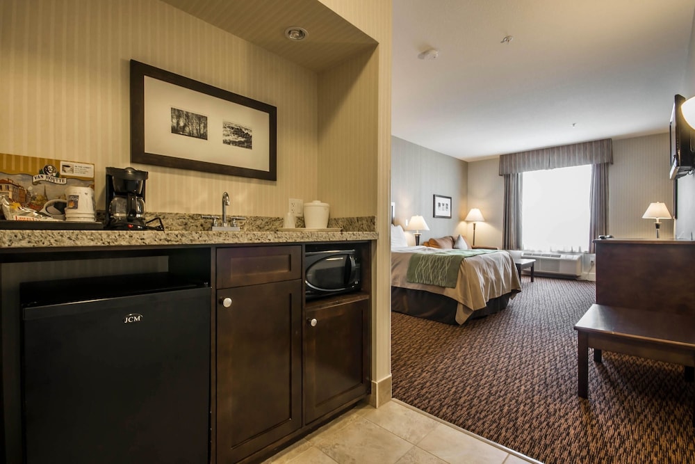 Comfort Inn & Suites Surrey 4/60
