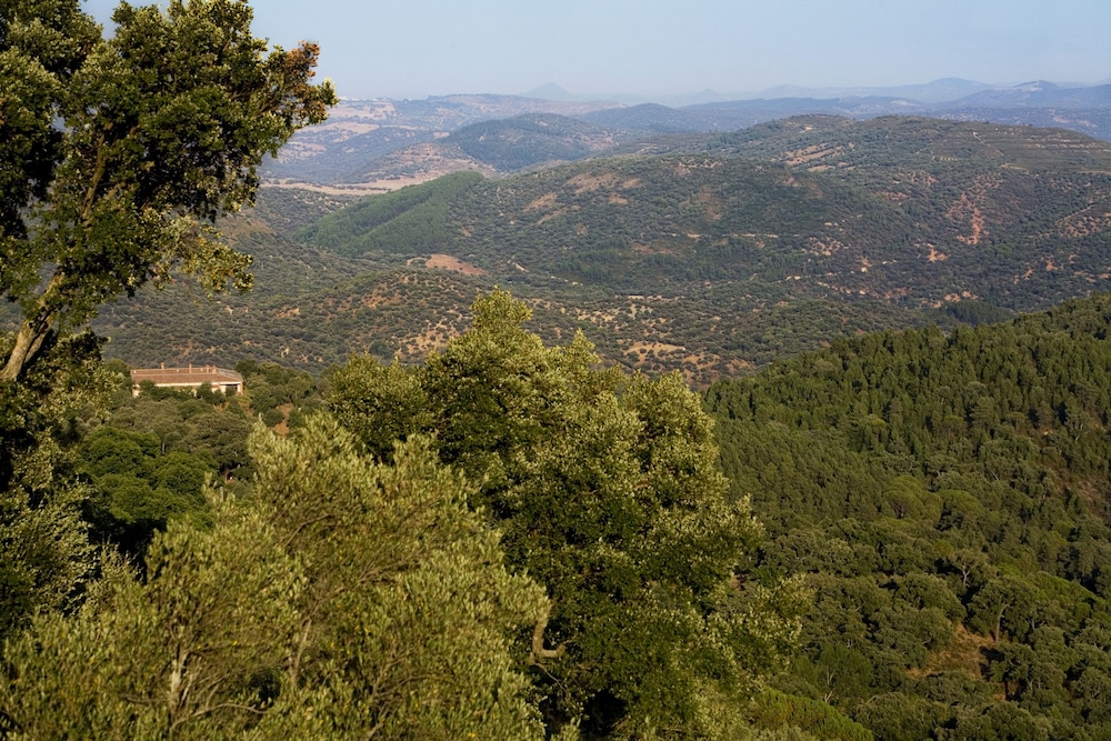 Finca la Fronda 16/20