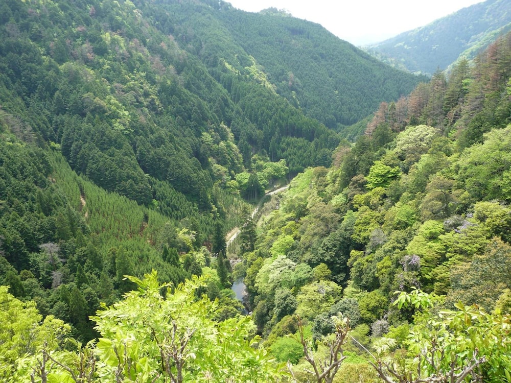 Takao Kanko Hotel 50/50