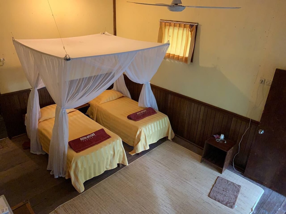 Rimba Orangutan Eco Lodge 11/43