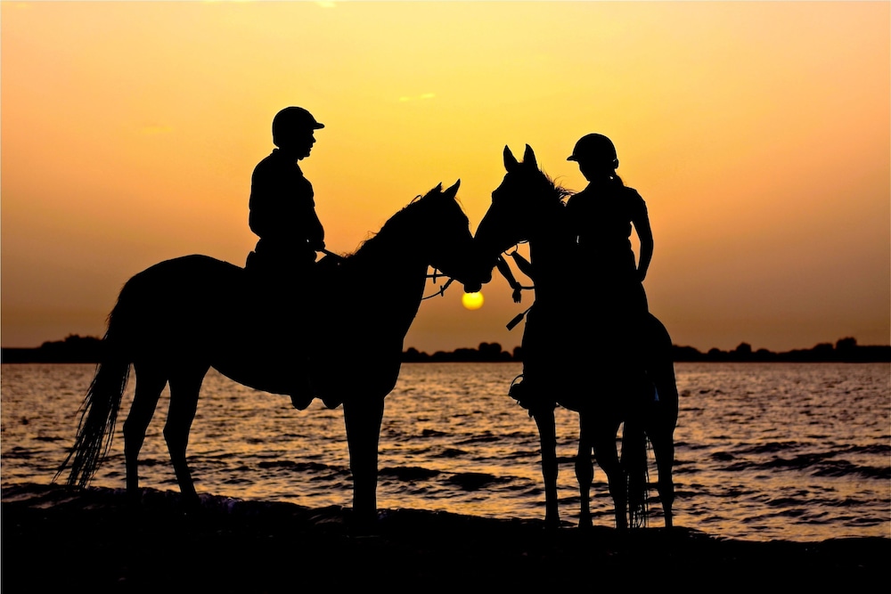 Anantara Sir Bani Yas Island Al Yamm Villa Resort 23/49