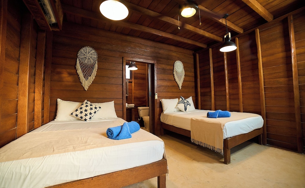 COCONUT BY OOL HOTELS 7/43