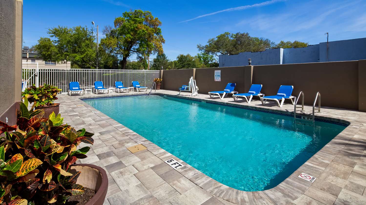 Best Western Tampa 33/34