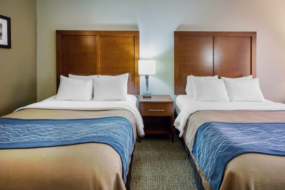 Comfort Inn & Suites Deadwood 15/50