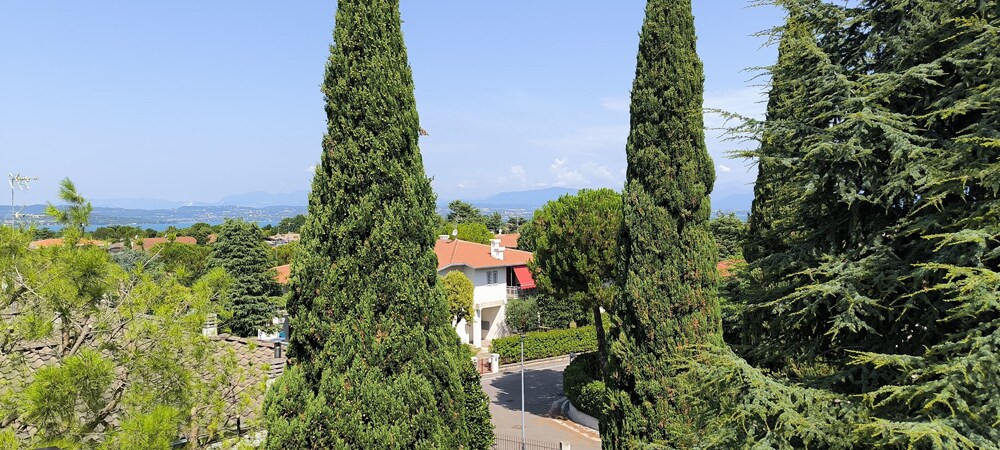surroundings