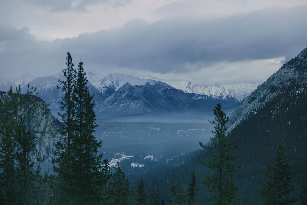 The Rimrock Resort Hotel Banff 69/71