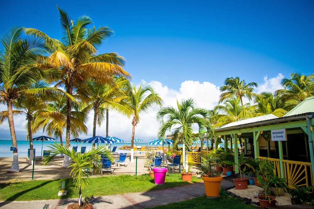 Canella Beach Hotel 35/42