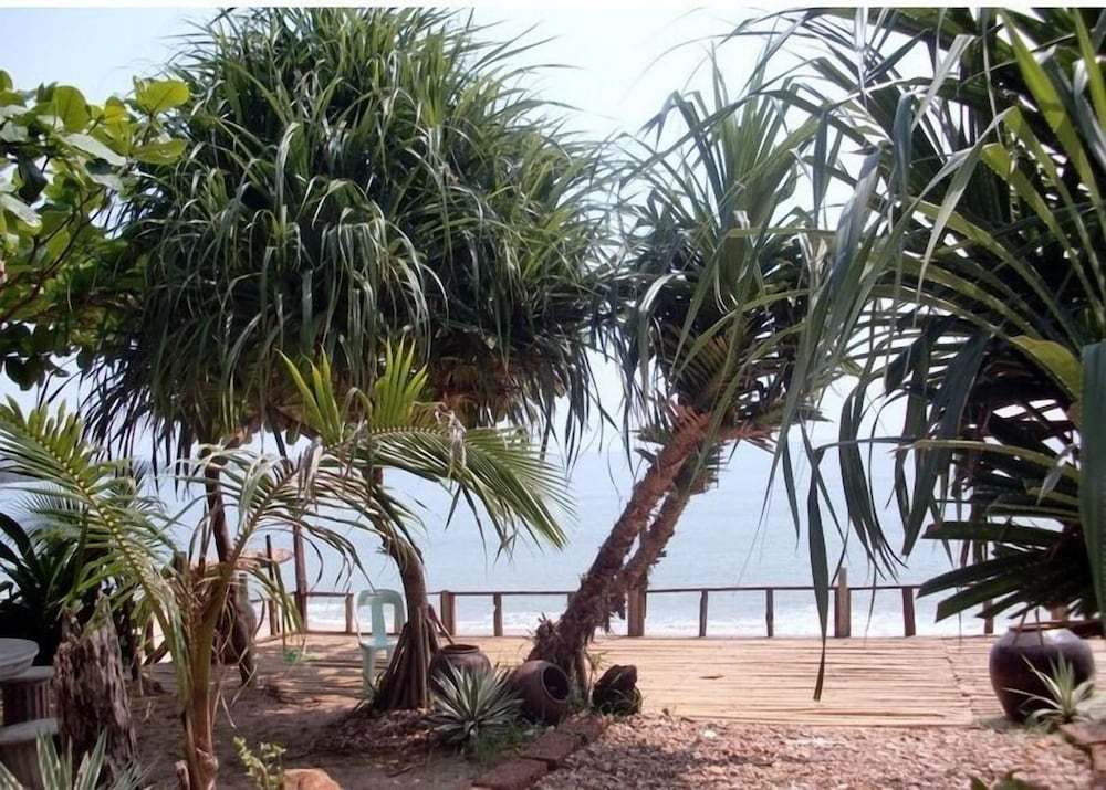 Jungle Bay Resort 26/42