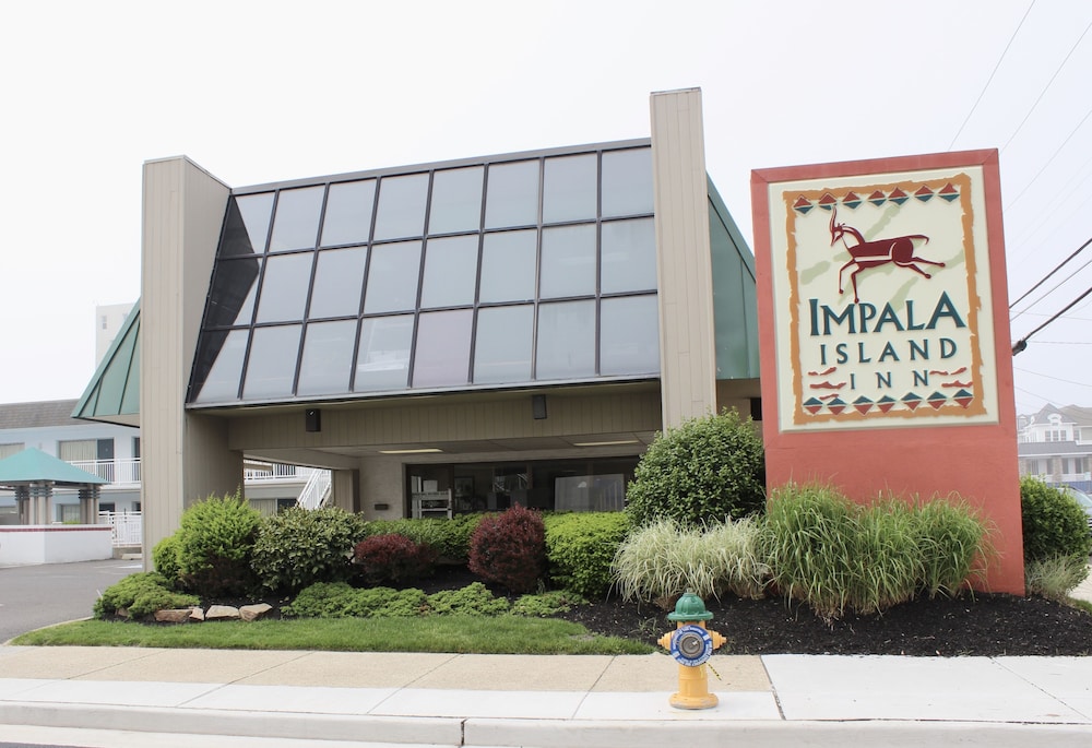 Impala Island Inn 2/34