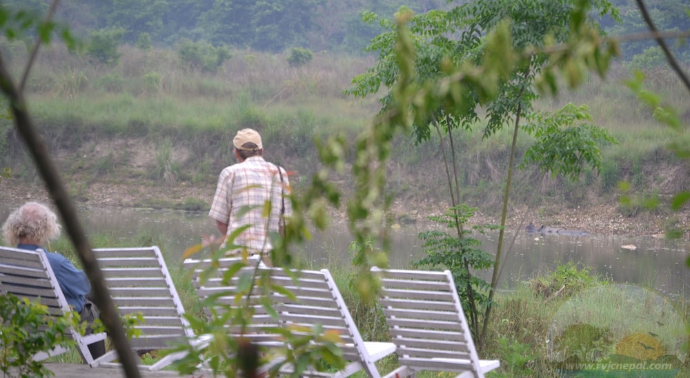 River View Jungle Camp 36/50
