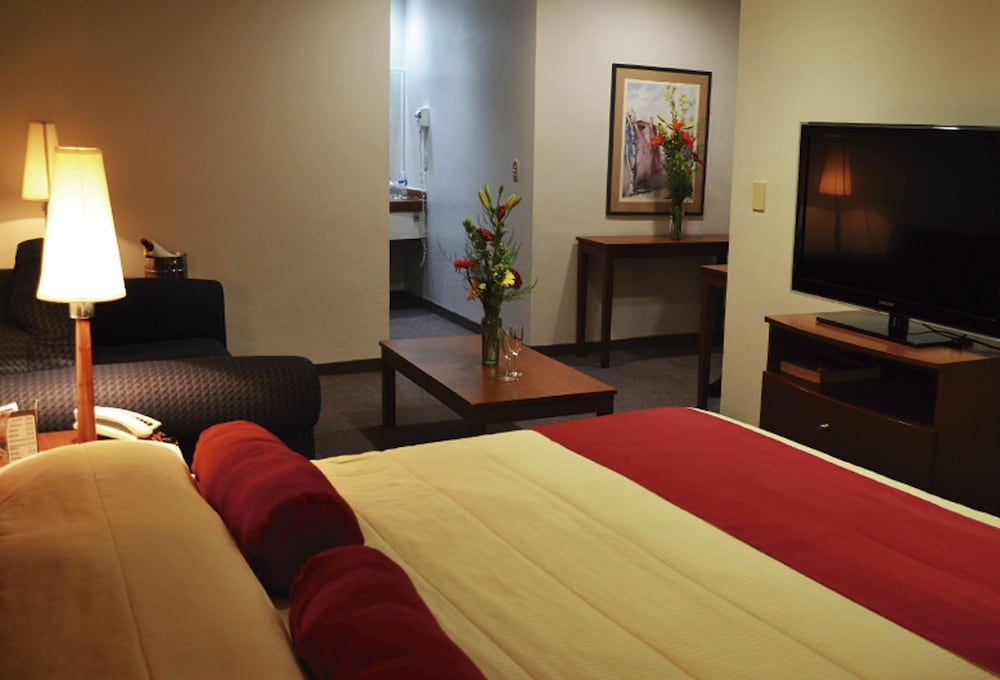Hotel Mediterraneo 12/42