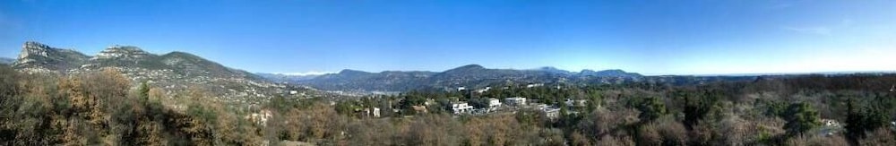 surroundings