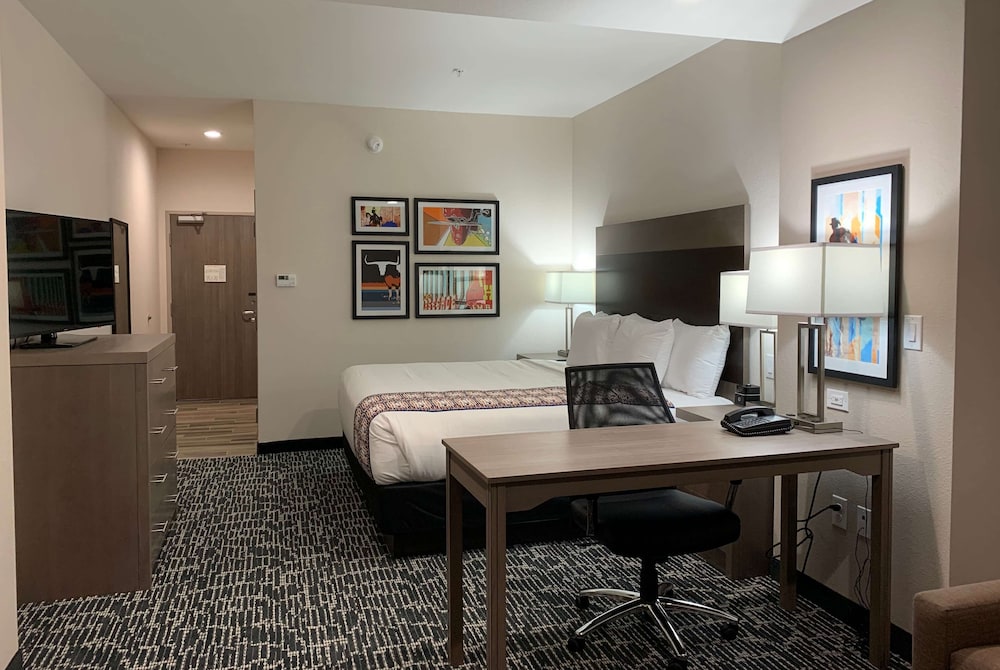 La Quinta Inn & Suites by Wyndham - Red Oak TX IH-35E 15/23