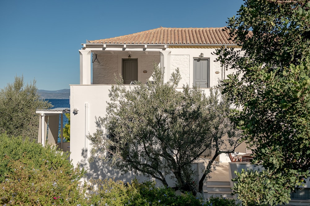 Bellevalia Hydra Hotel 6/50