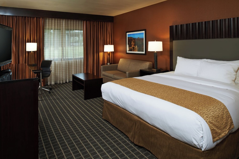 ROOM, KING BED, SOFA, ACCESSIBLE
