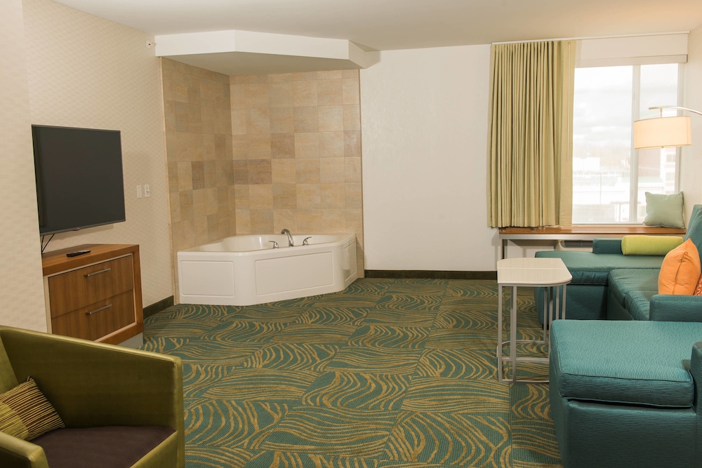 Springhill Suites Buffalo Airport 38/59