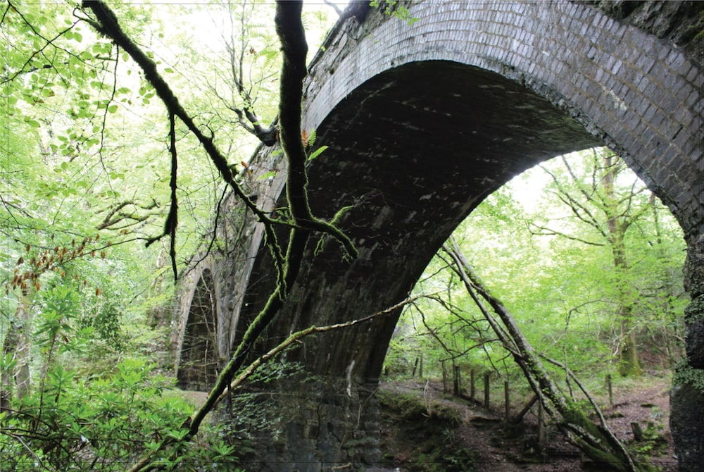 Afon Rhaiadr Country House 24/50
