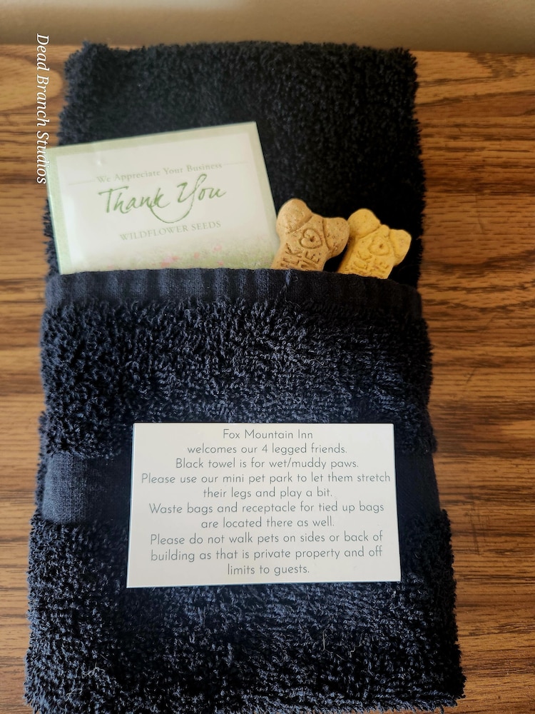 Fox Mountain Inn 29/50