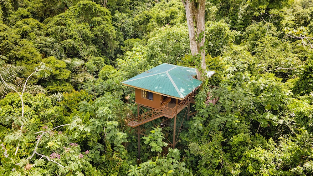 Maquenque Eco-Lodge 26/49