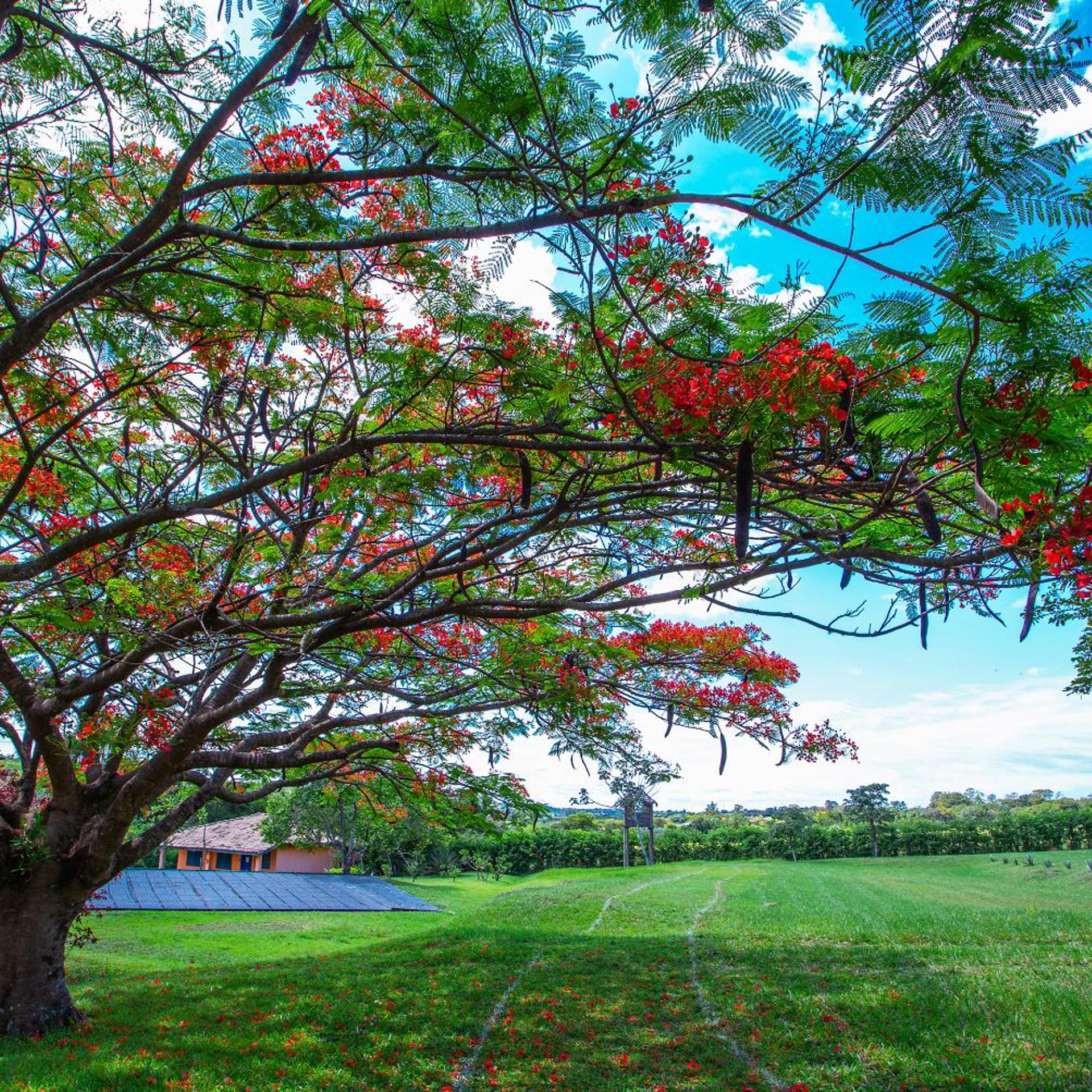 Itu Garden SPA e Resort Saudavel 47/50