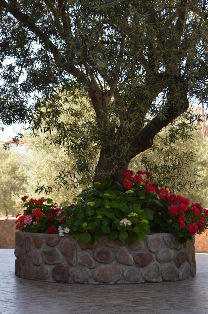 ANAXOS GARDEN 59/64