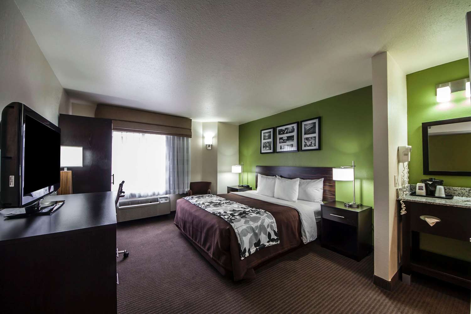 Suite, King Bed