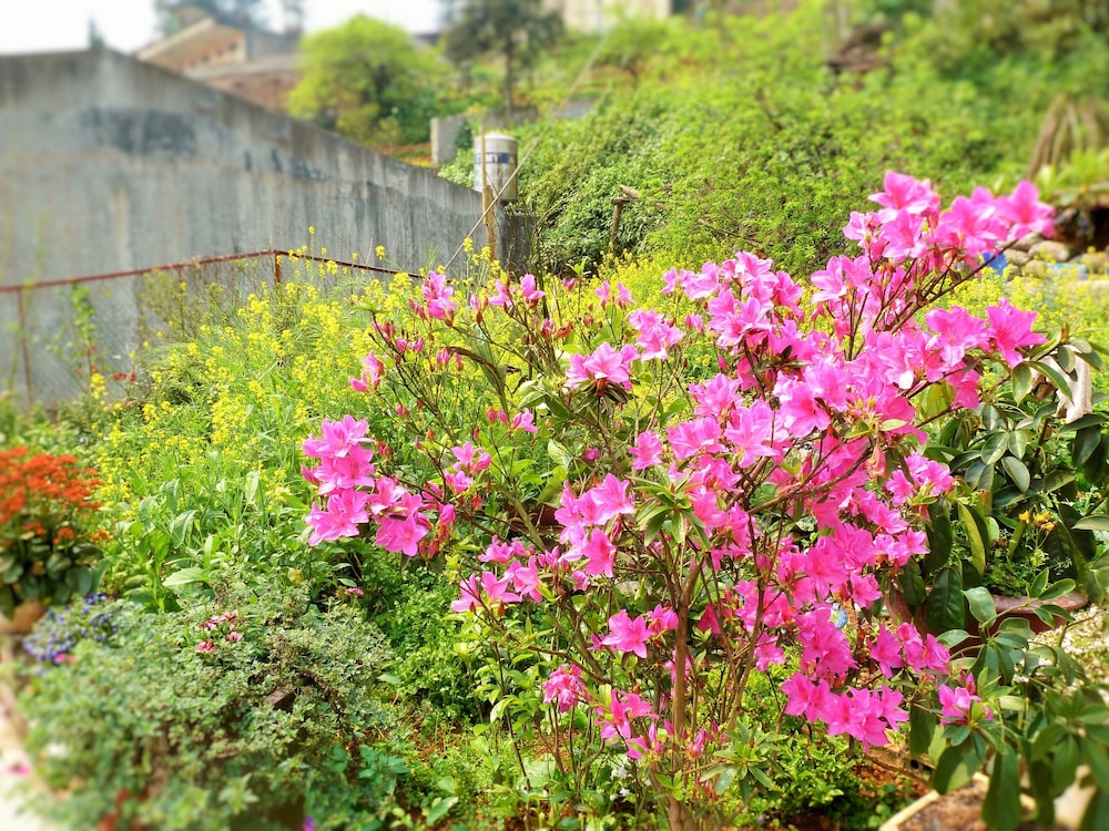 Sapa Local House 44/50